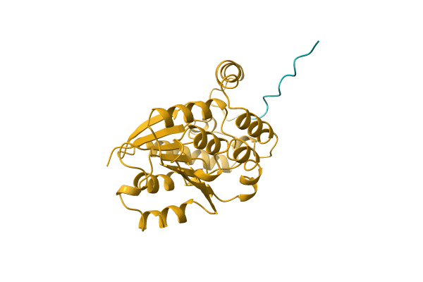 AF-A0A2H5AIZ6-F1 image