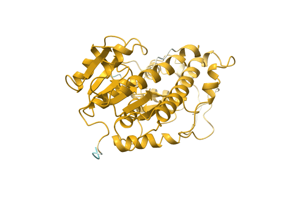 AF-A0A2I1BT56-F1 image