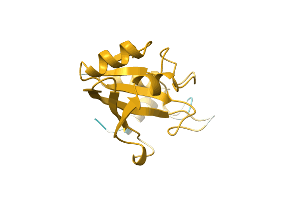 AF-A0A2I1ZAU4-F1 image