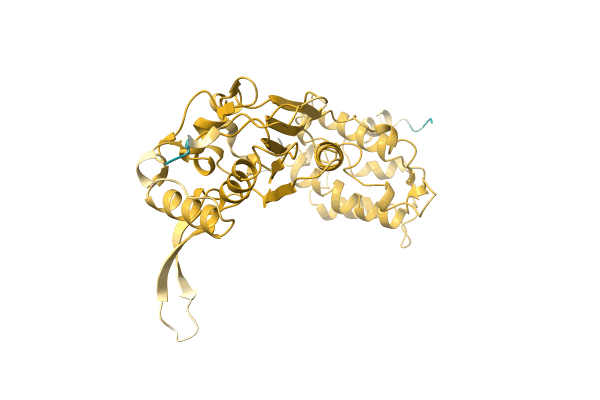 AF-A0A2I1ZEF8-F1 image