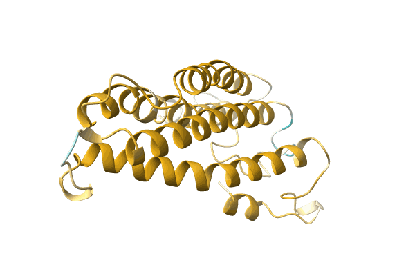 AF-A0A2I2K8E2-F1 image