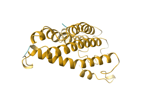 AF-A0A2I2K8F9-F1 image