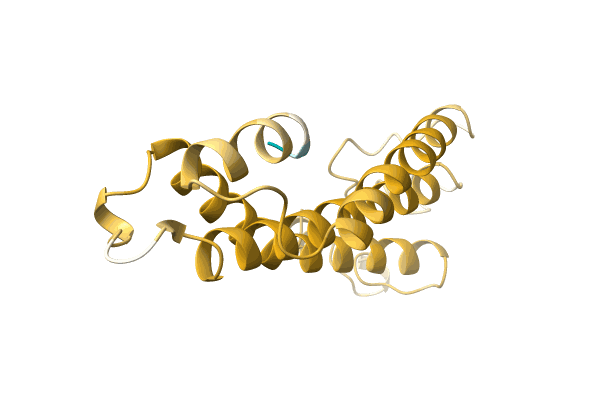 AF-A0A2I2K8J8-F1 image