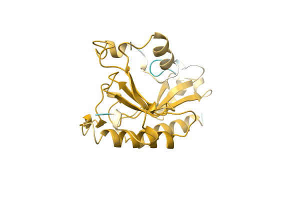 AF-A0A2I2K8L4-F1 image