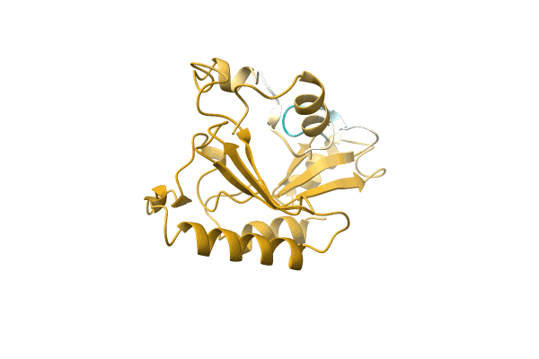 AF-A0A2I2K8Q1-F1 image