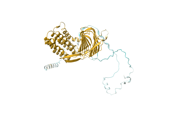 AF-A0A2I4DIT8-F1 image