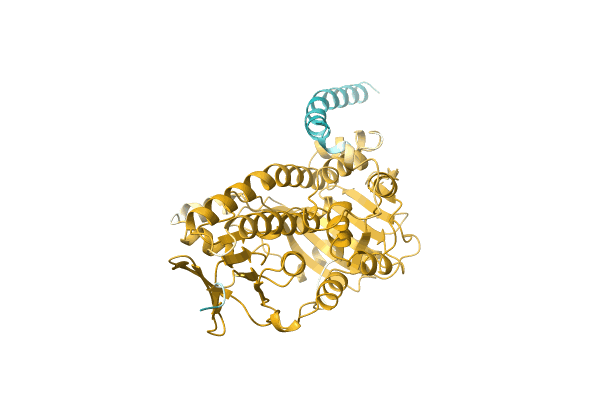 AF-A0A2I6PIZ2-F1 image