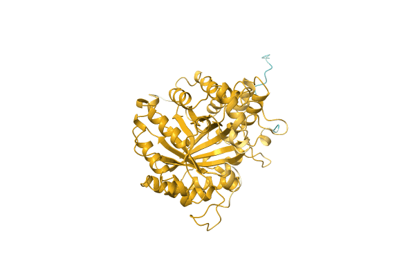 AF-A0A2I6PIZ6-F1 image