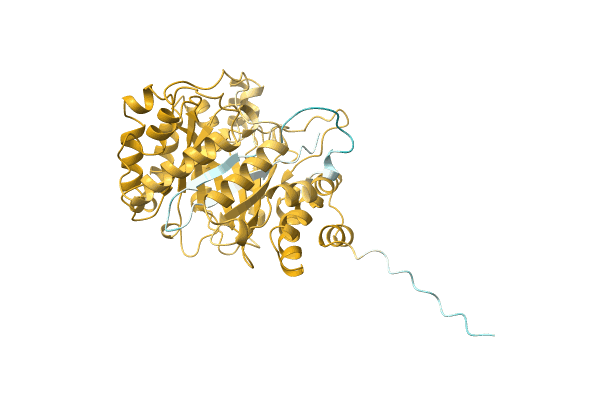 AF-A0A2I6PIZ7-F1 image