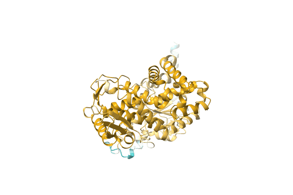 AF-A0A2I6PJ00-F1 image