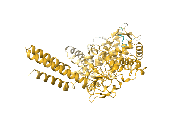 AF-A0A2I6PJ08-F1 image