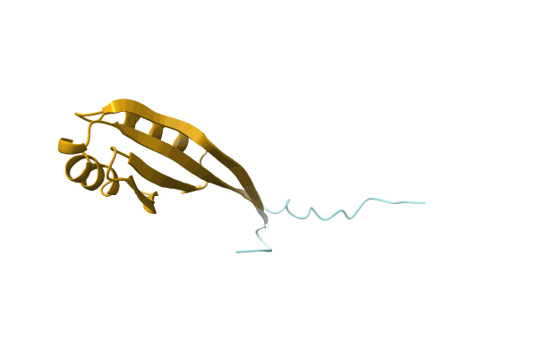 AF-A0A2J9VK67-F1 image