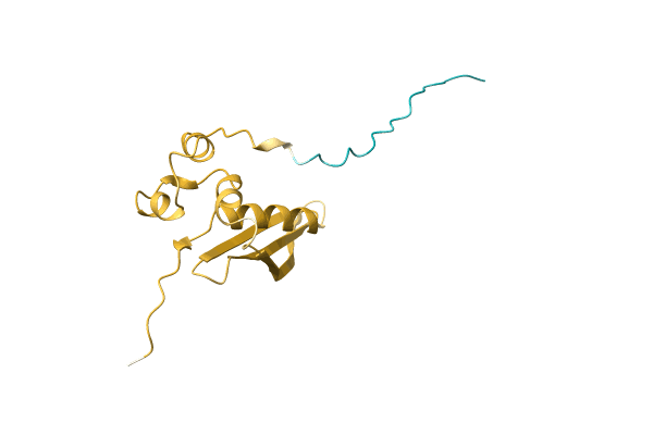 AF-A0A2L2BK44-F1 image