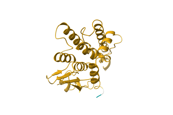 AF-A0A2M9W6R4-F1 image