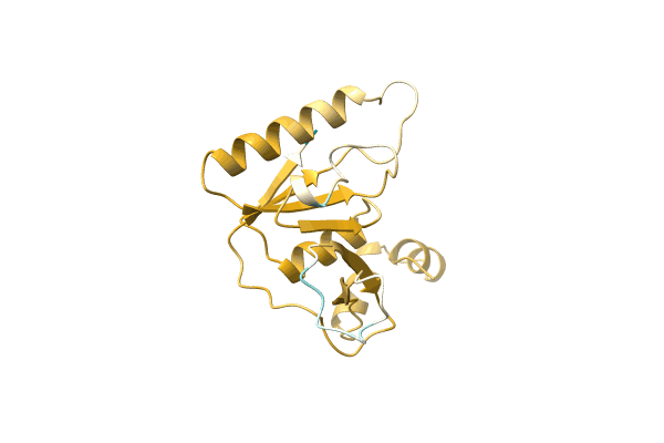 AF-A0A2N8U427-F1 image