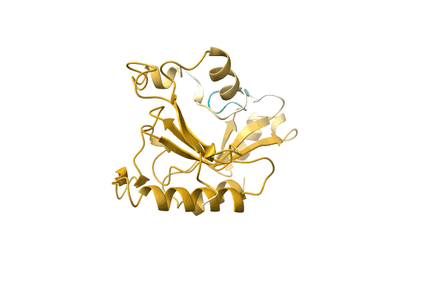 AF-A0A2P0ZWY7-F1 image