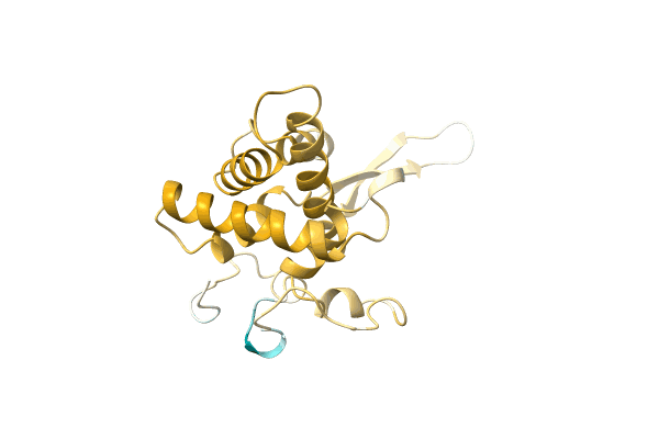 AF-A0A2P0ZYB7-F1 image