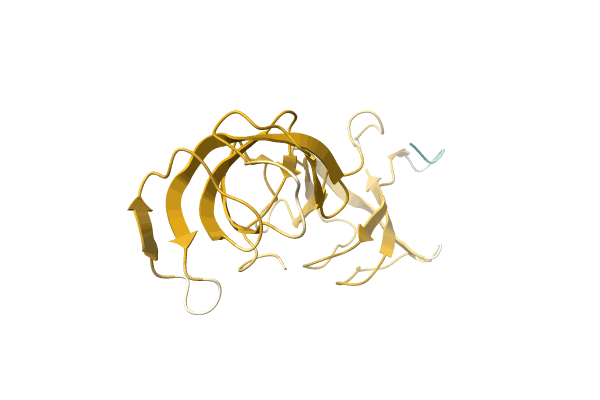 AF-A0A2P1DX34-F1 image