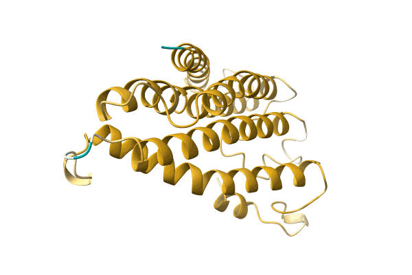 AF-A0A2R4QUJ9-F1 image