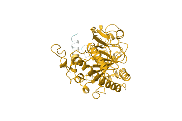AF-A0A2R6PI27-F1 image