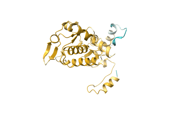 AF-A0A2S1ZPZ1-F1 image