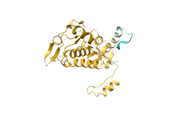 AF-A0A2S1ZPZ7-F1 image