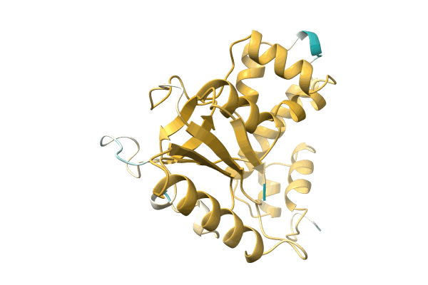 AF-A0A2S1ZQ87-F1 image