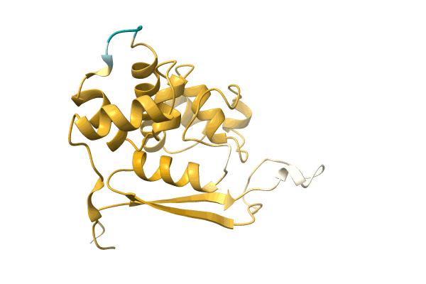 AF-A0A2S1ZQC6-F1 image