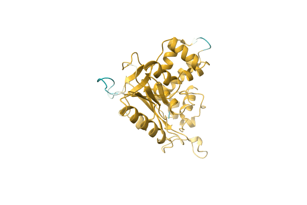 AF-A0A2S1ZQD6-F1 image