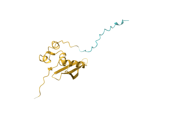 AF-A0A2S1ZQU4-F1 image