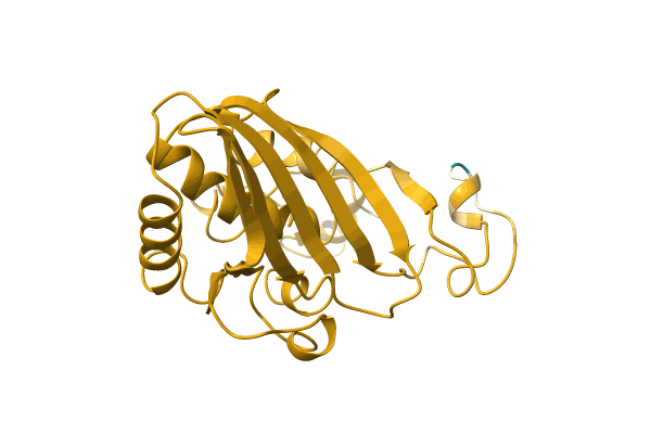 AF-A0A2S1ZQX1-F1 image