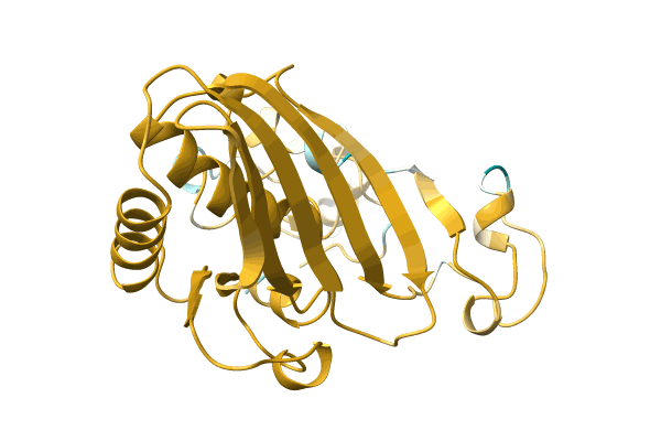 AF-A0A2S1ZR13-F1 image