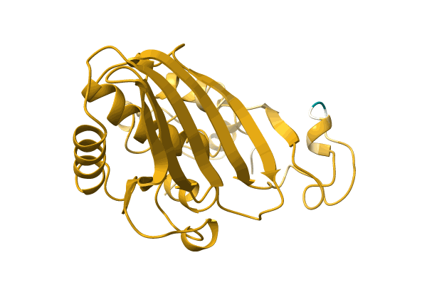 AF-A0A2S1ZR36-F1 image