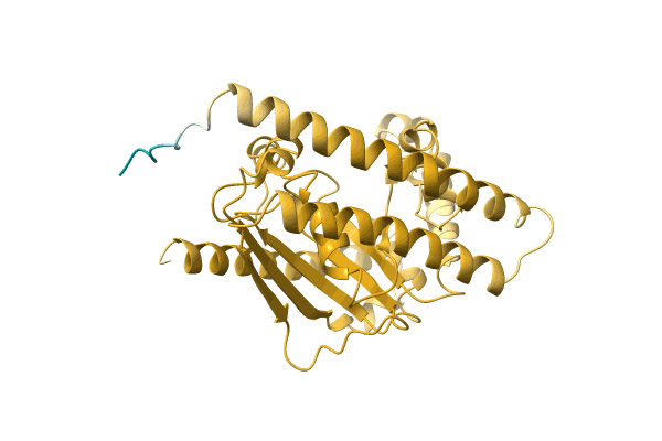 AF-A0A2S4TCA4-F1 image