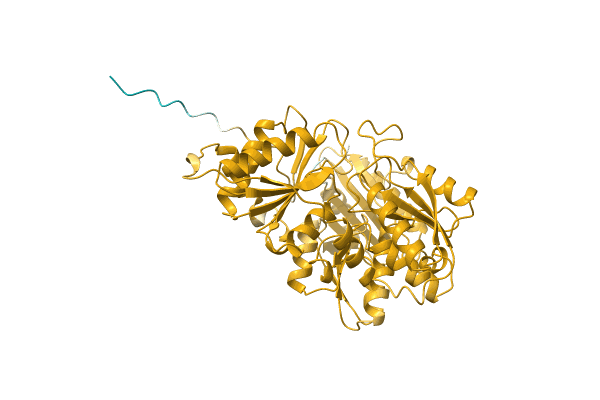 AF-A0A2S5M0X0-F1 image