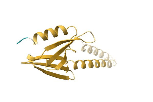 AF-A0A2S5M481-F1 image