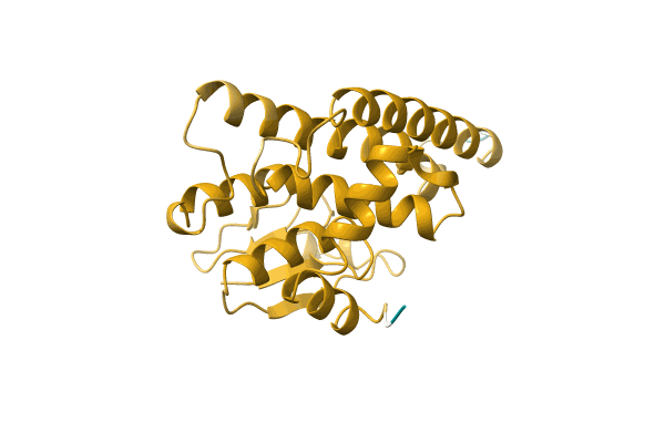 AF-A0A2S5MR66-F1 image