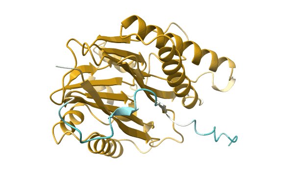 AF-A0A2S5T768-F1 image