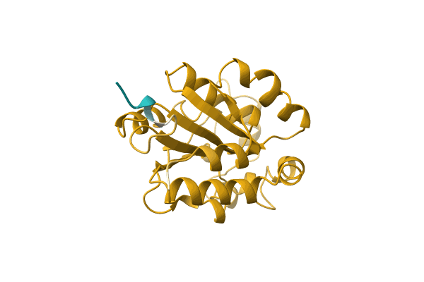 AF-A0A2S5TBZ8-F1 image