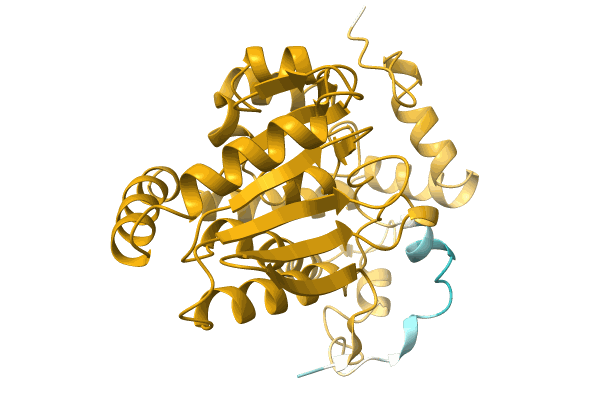 AF-A0A2S5TC10-F1 image