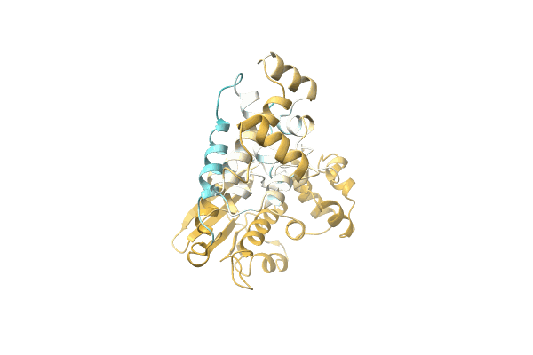 AF-A0A2S5TC49-F1 image