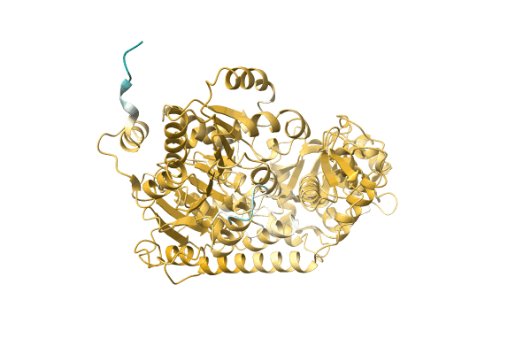 AF-A0A2S5VQH1-F1 image