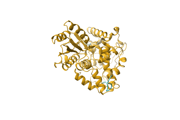 AF-A0A2S5XBJ1-F1 image