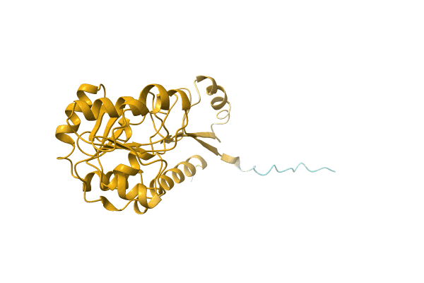 AF-A0A2S5XBK6-F1 image