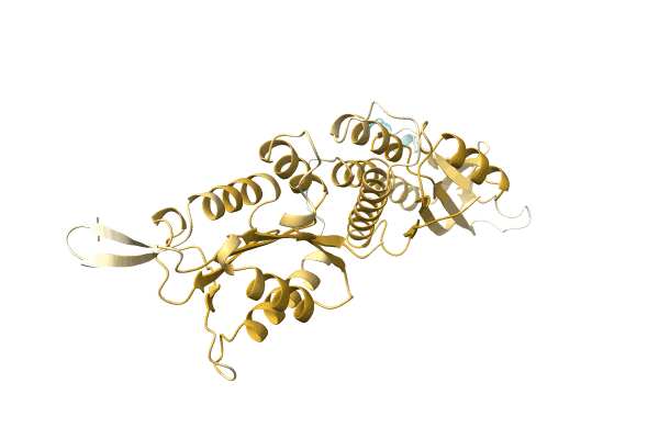 AF-A0A2T5Y4G4-F1 image