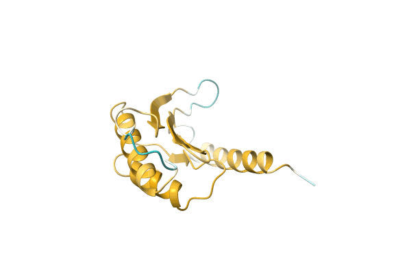 AF-A0A2U3QYQ7-F1 image