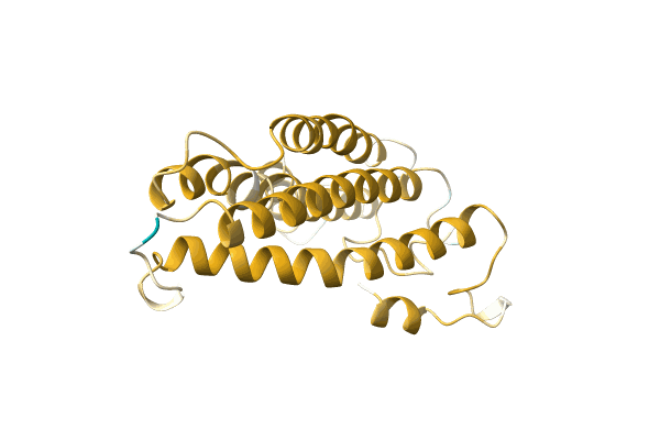 AF-A0A2U5A560-F1 image