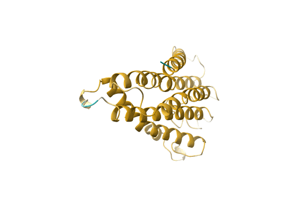 AF-A0A2U5AHR4-F1 image