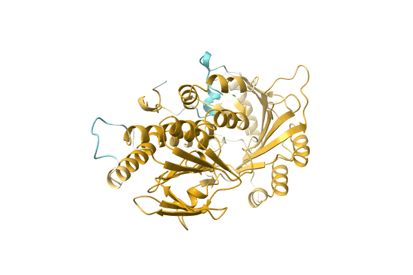 AF-A0A2U8U2L4-F1 image