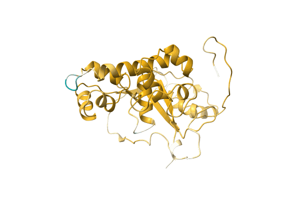 AF-A0A2U8XGA5-F1 image